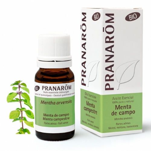 Pranarom aceite esencial menta del campo bio 10ml